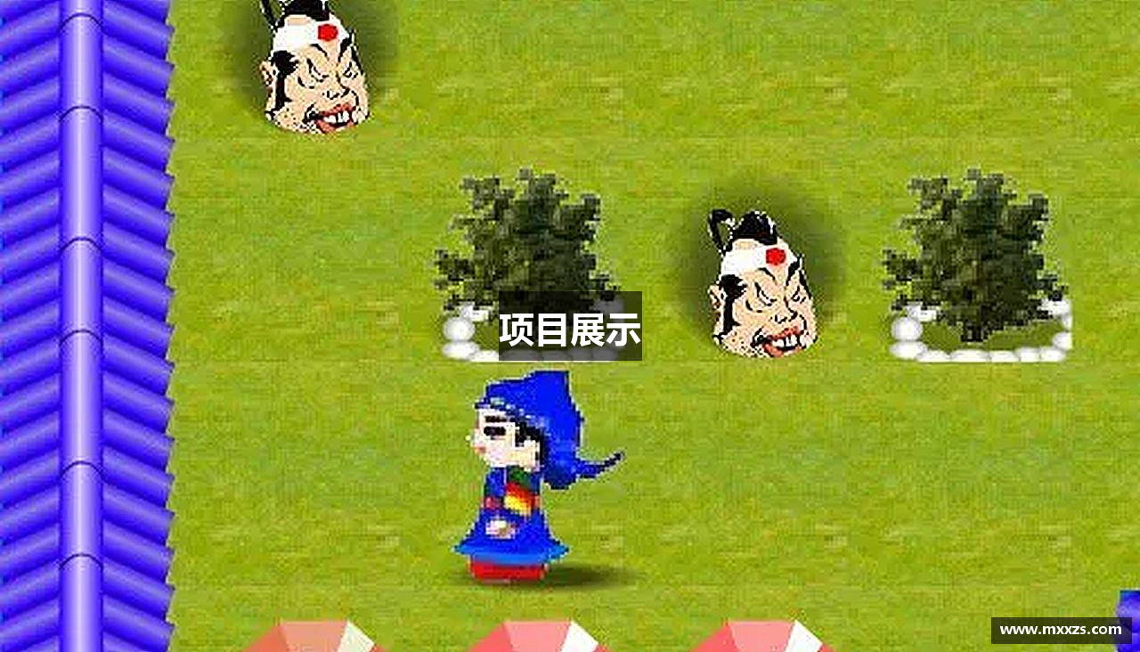 项目展示